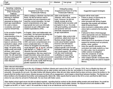 Example of an initial assessment form